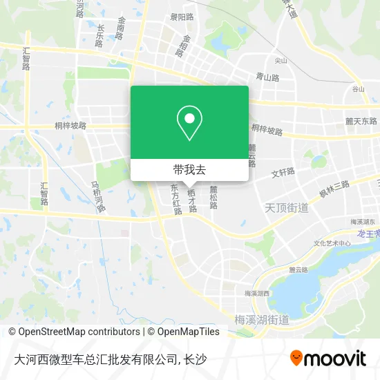 大河西微型车总汇批发有限公司地图