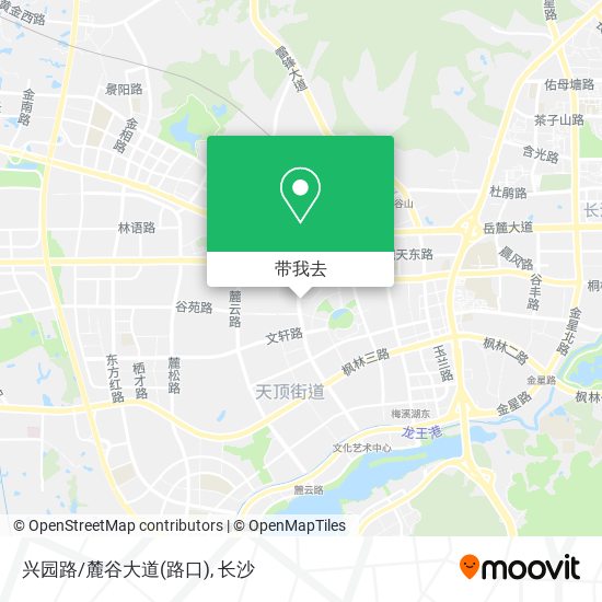 兴园路/麓谷大道(路口)地图