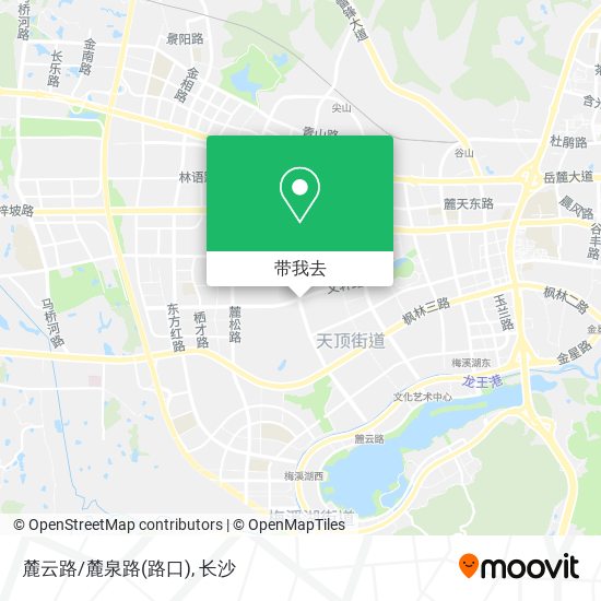 麓云路/麓泉路(路口)地图