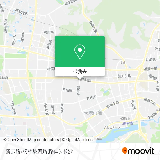 麓云路/桐梓坡西路(路口)地图