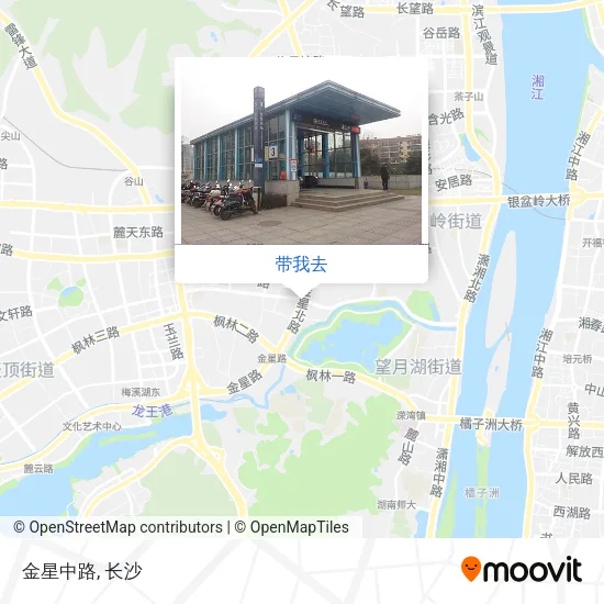 金星中路地图