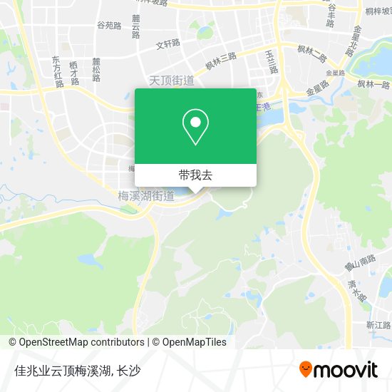 佳兆业云顶梅溪湖地图