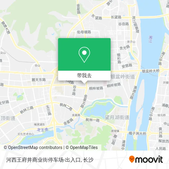 河西王府井商业街停车场-出入口地图