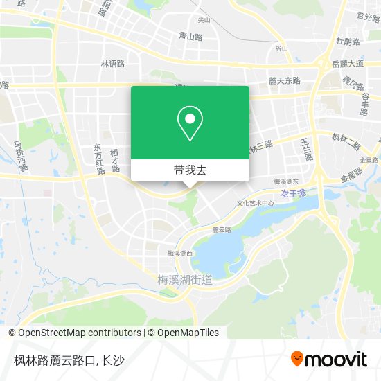 枫林路麓云路口地图