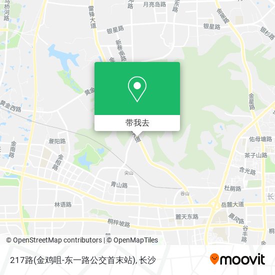 217路(金鸡咀-东一路公交首末站)地图