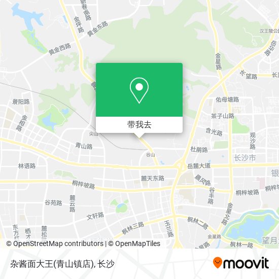 杂酱面大王(青山镇店)地图