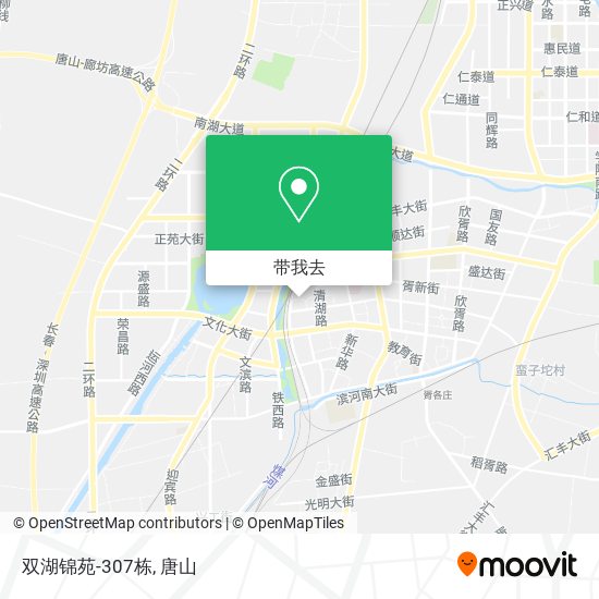 双湖锦苑-307栋地图