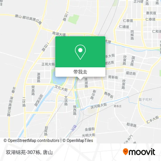 双湖锦苑-307栋地图
