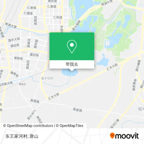 东王家河村地图
