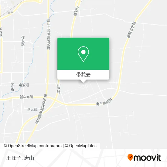 王庄子地图