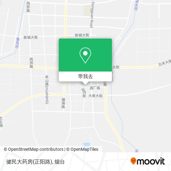 健民大药房(正阳路)地图