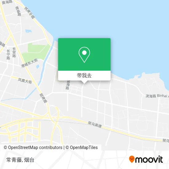 常青藤地图