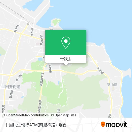 中国民生银行ATM(南迎祥路)地图