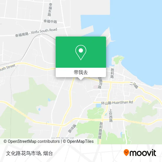 文化路花鸟市场地图