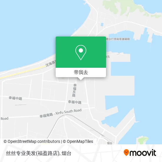 丝丝专业美发(福盈路店)地图