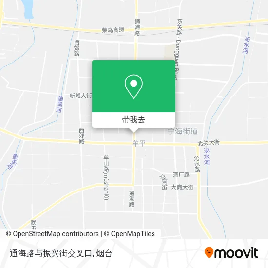 通海路与振兴街交叉口地图