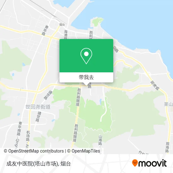 成友中医院(塔山市场)地图