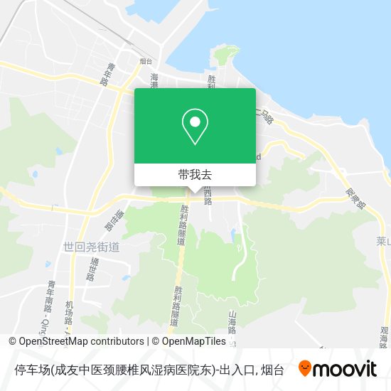 停车场(成友中医颈腰椎风湿病医院东)-出入口地图