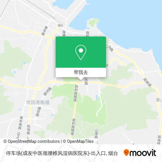 停车场(成友中医颈腰椎风湿病医院东)-出入口地图