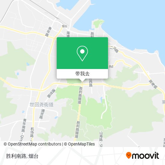 胜利南路地图