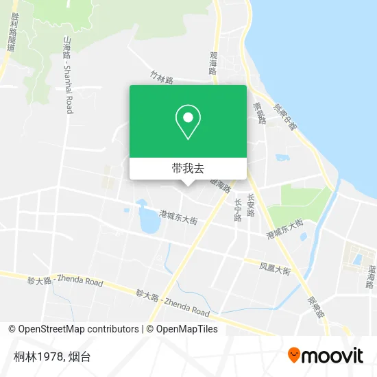 桐林1978地图