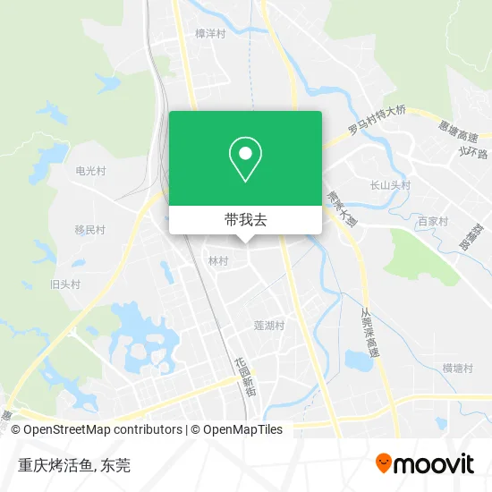 重庆烤活鱼地图