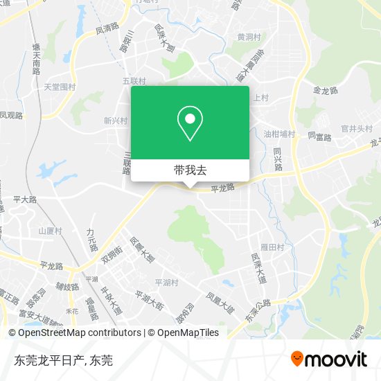 东莞龙平日产地图