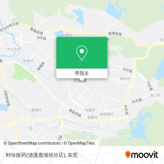 时珍医药(清溪鹿湖坝分店)地图