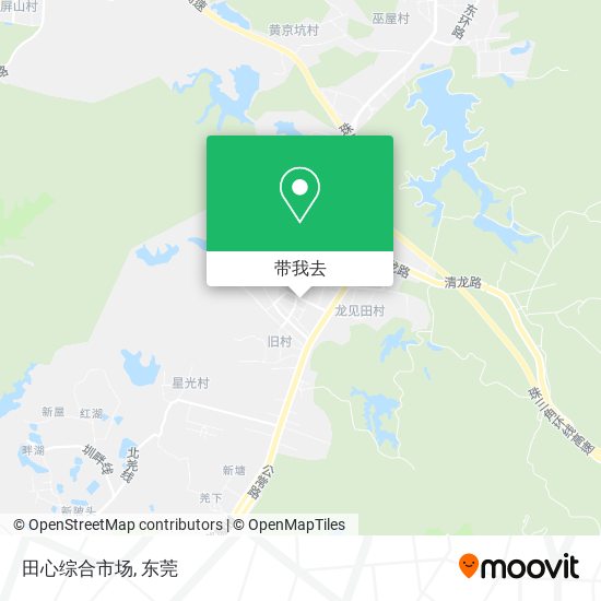 田心综合市场地图