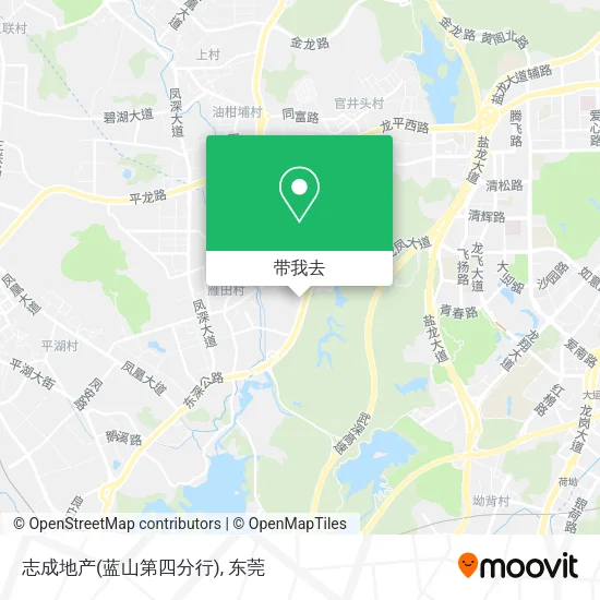 志成地产(蓝山第四分行)地图
