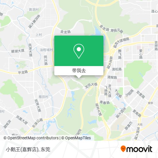 小鹅王(嘉辉店)地图