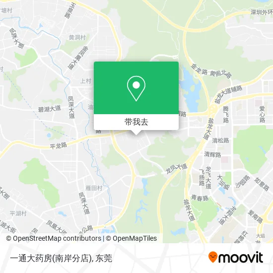 一通大药房(南岸分店)地图