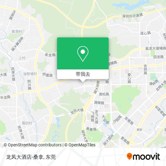 龙凤大酒店-桑拿地图