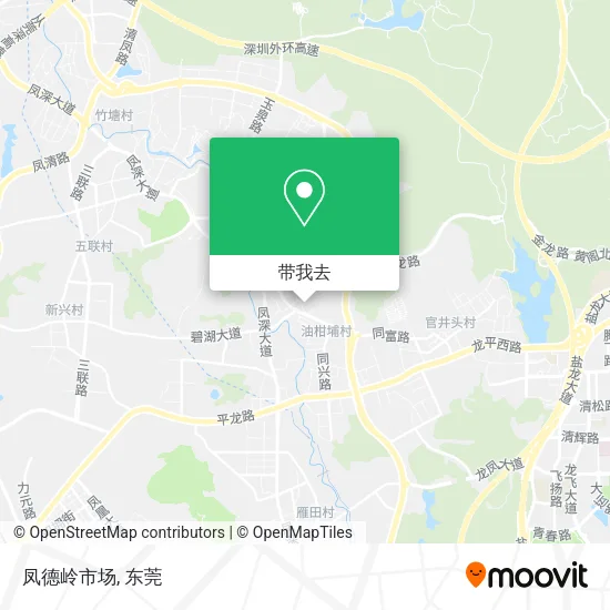 凤德岭市场地图