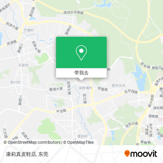 康莉真皮鞋店地图