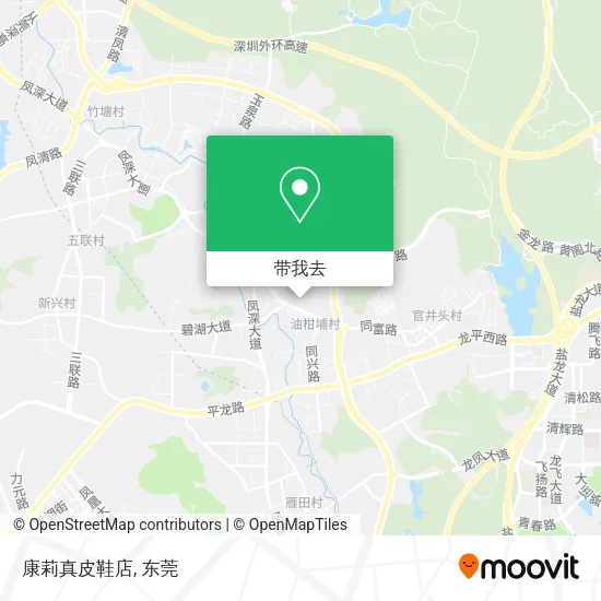 康莉真皮鞋店地图