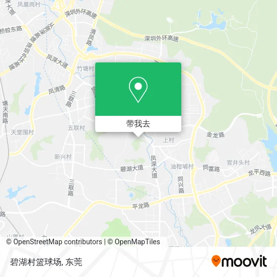 碧湖村篮球场地图