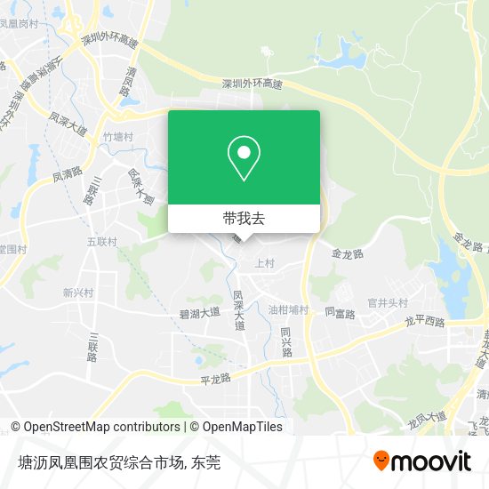 塘沥凤凰围农贸综合市场地图