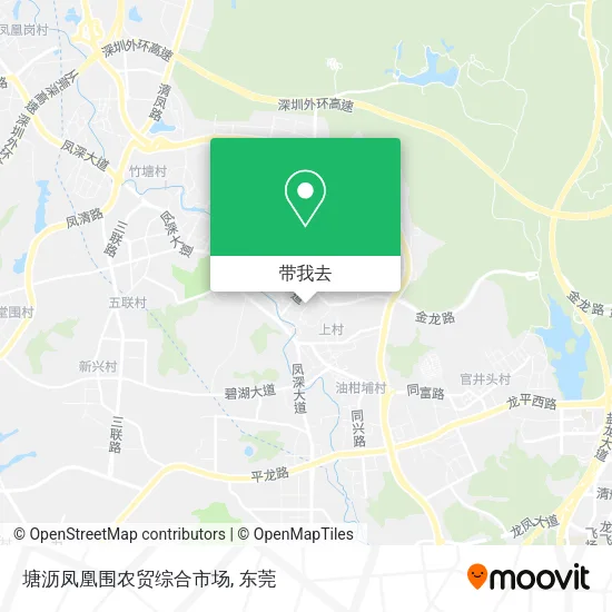 塘沥凤凰围农贸综合市场地图
