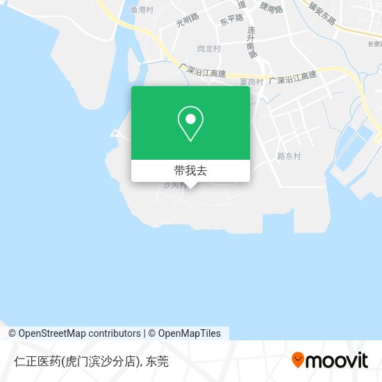 仁正医药(虎门滨沙分店)地图