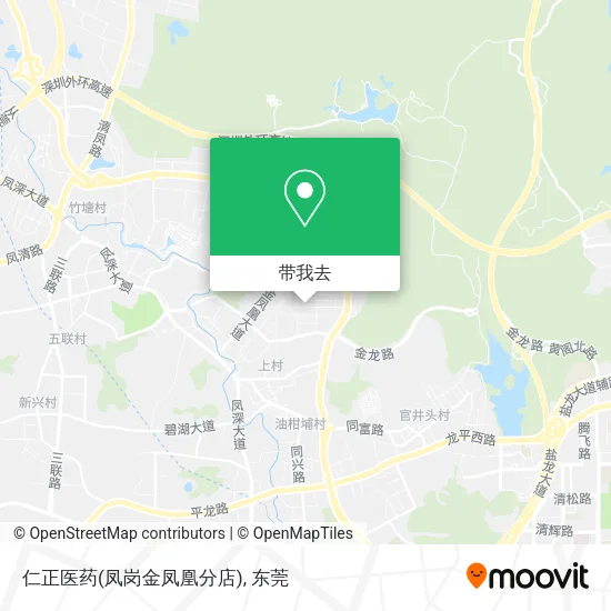 仁正医药(凤岗金凤凰分店)地图