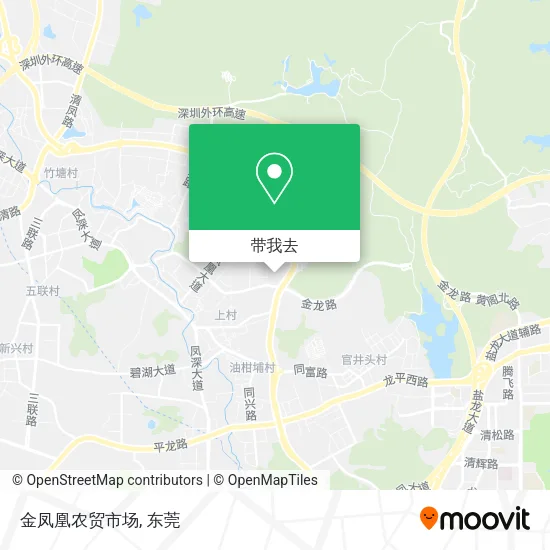 金凤凰农贸市场地图