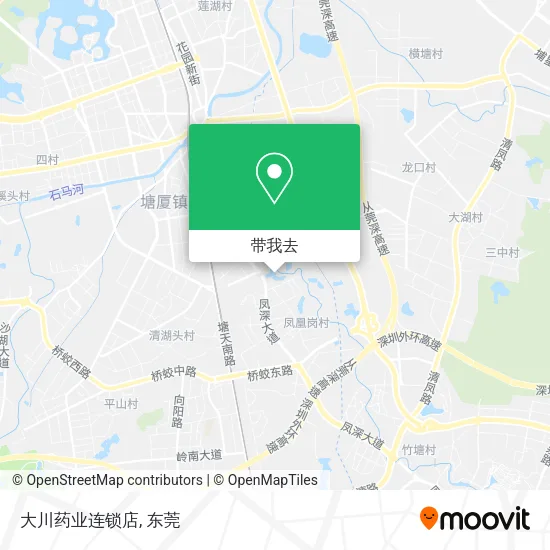 大川药业连锁店地图