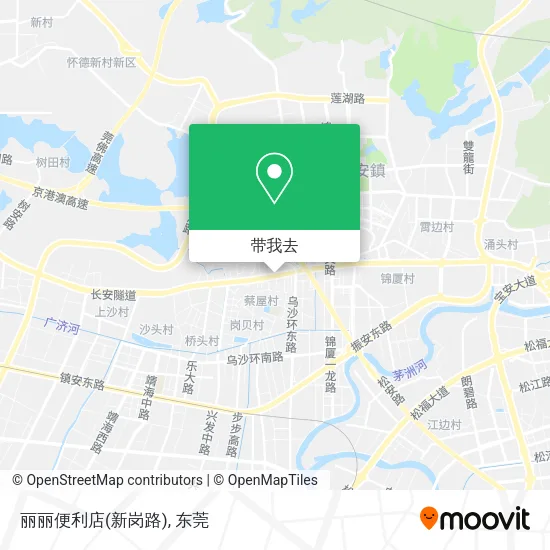 丽丽便利店(新岗路)地图