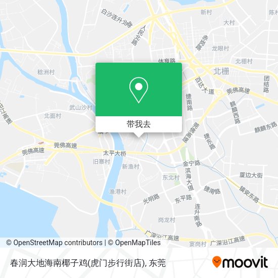 春润大地海南椰子鸡(虎门步行街店)地图