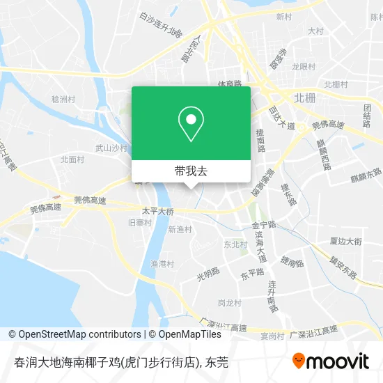 春润大地海南椰子鸡(虎门步行街店)地图