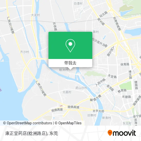 康正堂药店(稔洲路店)地图