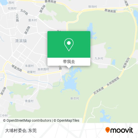 大埔村委会地图