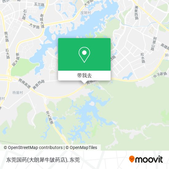 东莞国药(大朗犀牛陂药店)地图