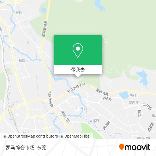 罗马综合市场地图